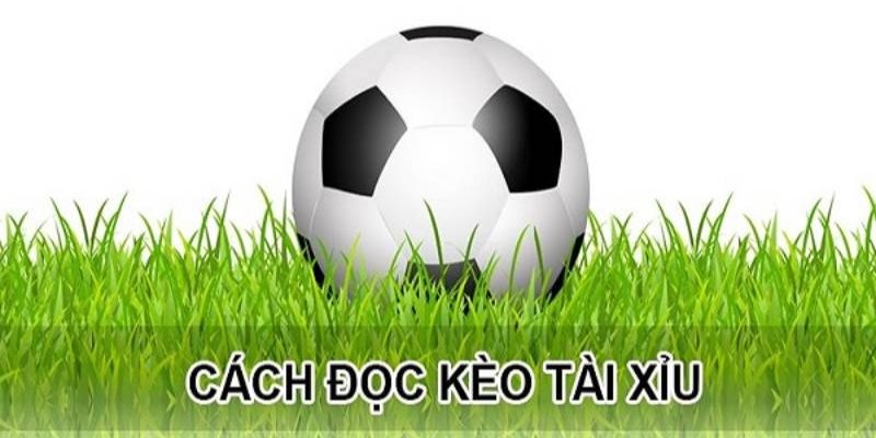 Cách đọc kèo tài xỉu bóng đá chuẩn