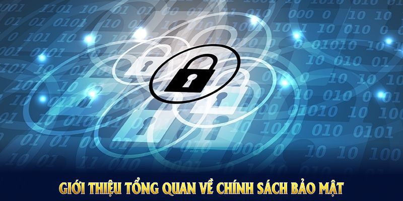 Giới thiệu tổng quan về chính sách bảo mật Luongson