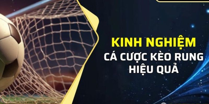 Mách bạn cách bắt kèo rung bất bại từ chuyên gia 