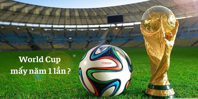 World cup mấy năm một lần